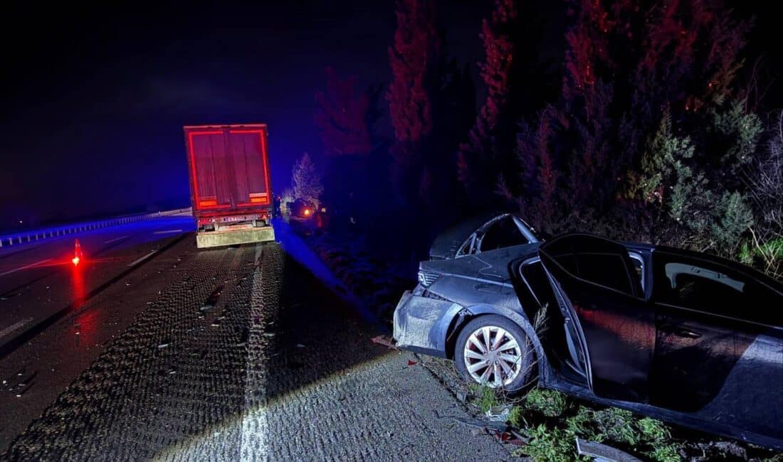 Bursa'nın Mustafakemalpaşa ilçesinde otoyolda köpeklere çarpıp durmak zorunda kalan otomobile