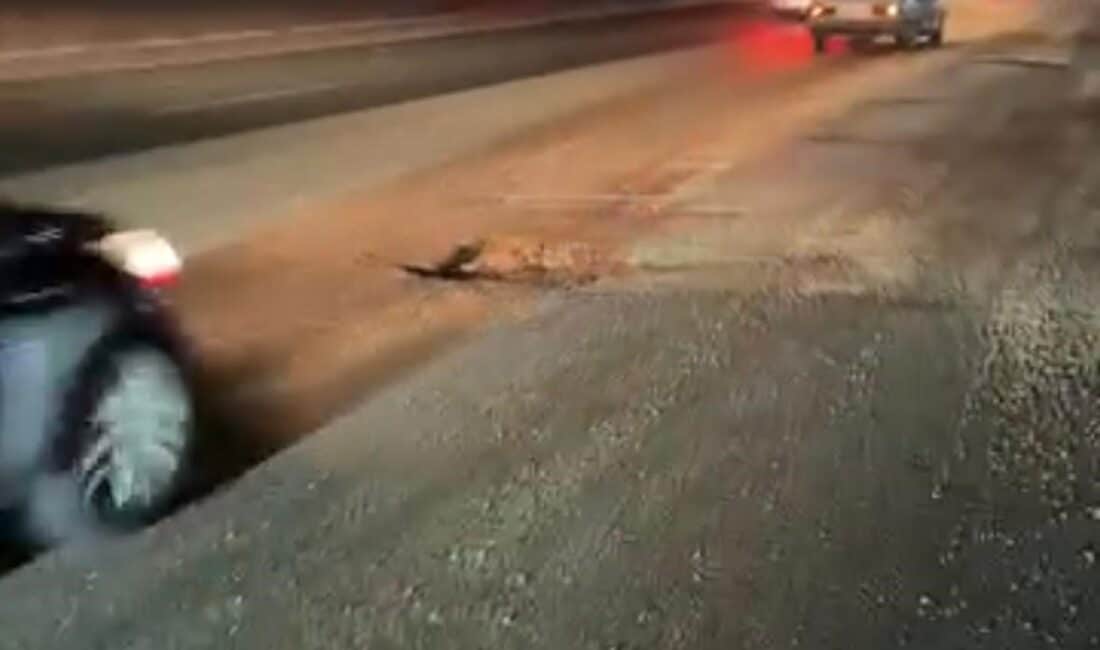 Bursa-Mudanya yolu üzerinde her geçen gün artan çukurlar sürücüleri çileden