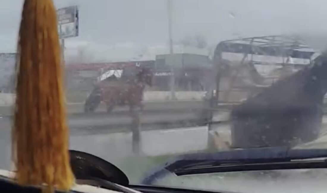 Bursa'da ana yolda başıboş dolaşan at, trafikte tehlikeye neden oldu.