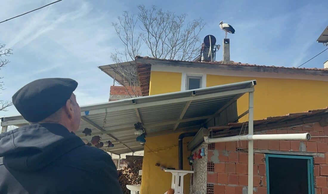 Bursa'nın Karacabey ilçesine bağlı Eskikarağaç Mahallesi'nde (Leylek köyü), balıkçı Adem