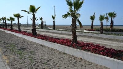 Karacabey Belediyesi Park ve Bahçeler Müdürlüğü, 2025 yılı boyunca hayata