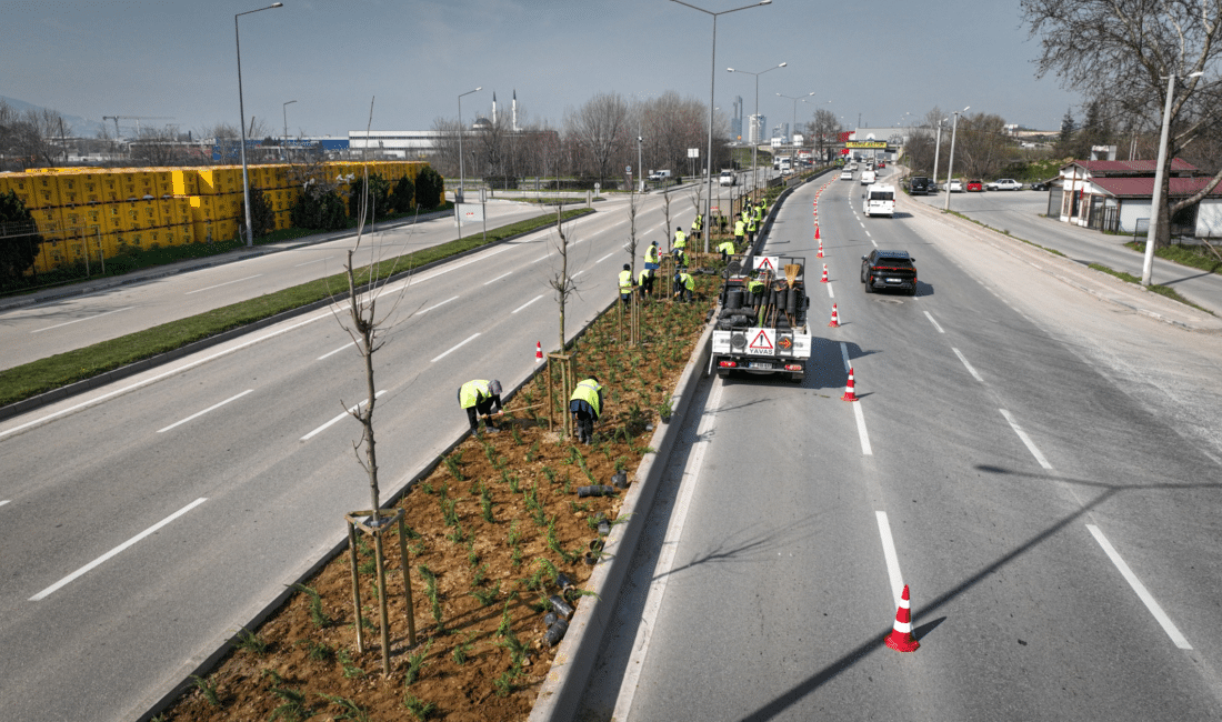 Bursa Büyükşehir Belediyesi, cadde ve bulvarlardaki refüjlerde yaptığı peyzaj düzenlemeleriyle