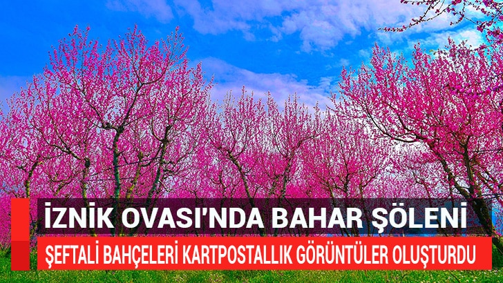 Bursa'nın İznik ilçesinde ilkbaharın gelişiyle