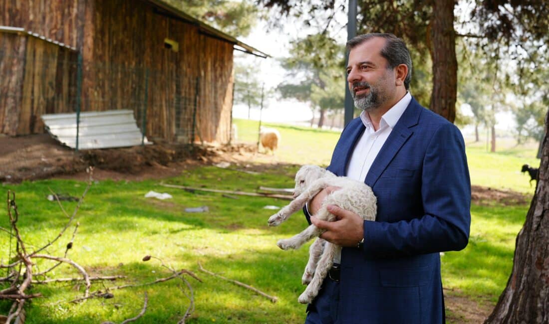 Gürsu Belediyesi’nin, 80 dönümlük mesire alanı içinde yapımını bitirdiği Butik