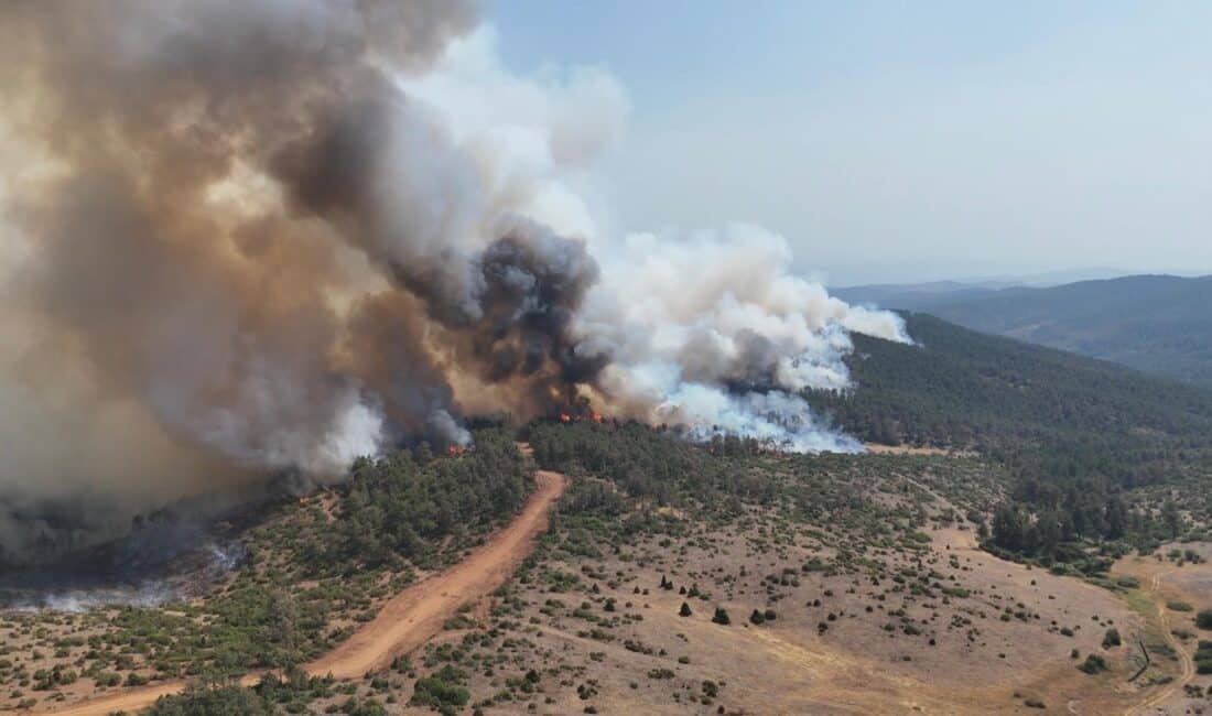 Bursa'da yakın tarihin en büyük orman yangınlarından birisi olan ve