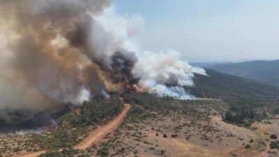 Bursa'da yakın tarihin en büyük orman yangınlarından birisi olan ve