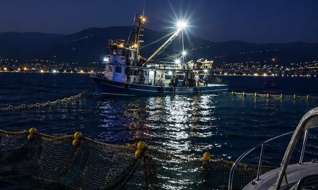 Gemlik Körfezi içerisinde ve özellikle sahil önlerinde, su üstünde yüzer