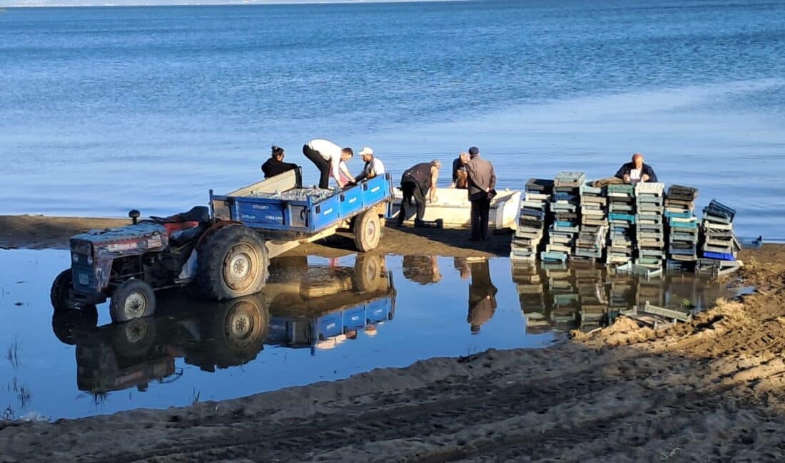 Türkiye'nin en büyük 5.gölü olan İznik Gölü'nde gümüş balığı sezonu