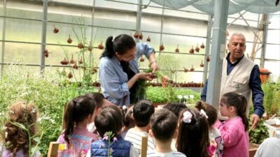  Osmangazi Belediyesi, çocukların toprakla tanışması ve tükettikleri gıdaların üretim sürecini