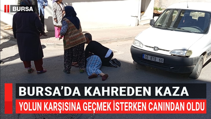 Bursa'nın Orhangazi ilçesinde, hafif ticari