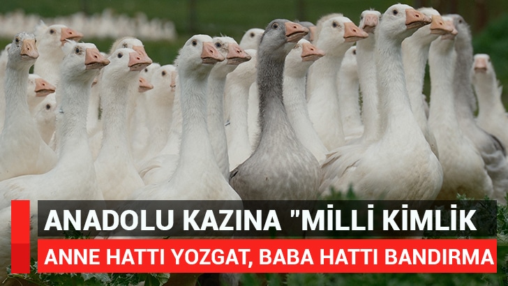 Tarım ve Orman Bakanlığı Tarım
