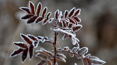 Bursa Valiliği, bu gece yarısından (10 Nisan) itibaren başlayıp Pazartesi