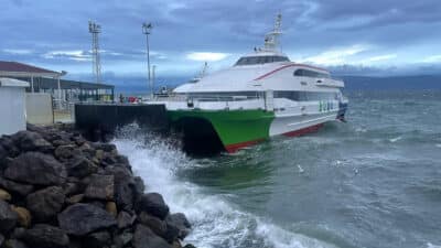 Bursa ile İstanbul arasında deniz ulaşımının en önemli halkalarından biri