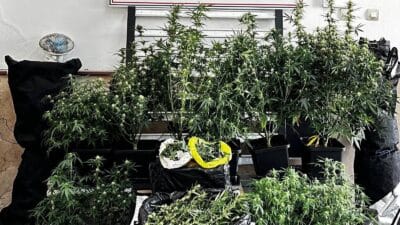 Bursa'da jandarma ekiplerince şüphelinin evinde gerçekleştirlen uyuşturucu operasyonunda çok sayıda