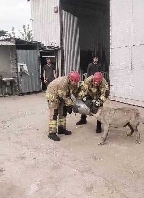 "Bursa’nın İnegöl ilçesinde başını iş makinesi hava filtresine sıkıştıran hamile