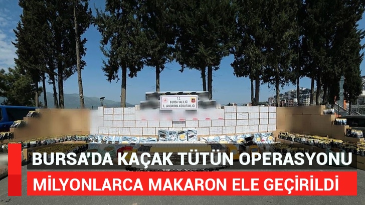 Bursa'da jandarma ekiplerinin düzenlediği operasyonda