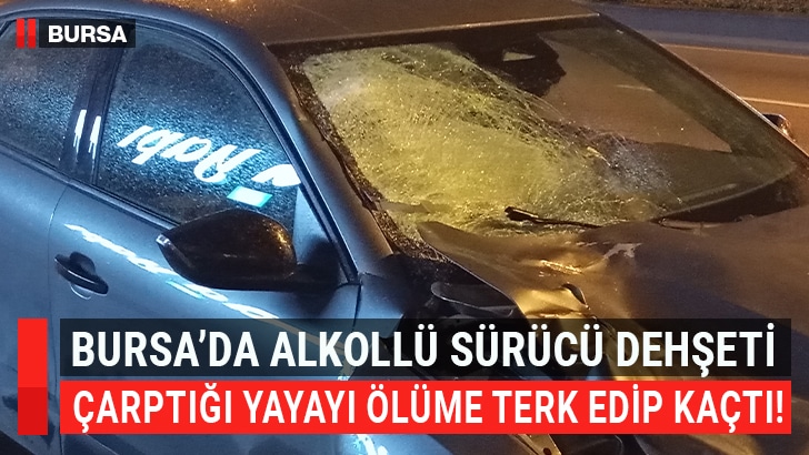 Bursa'da alkollü bir sürücünün çarptığı