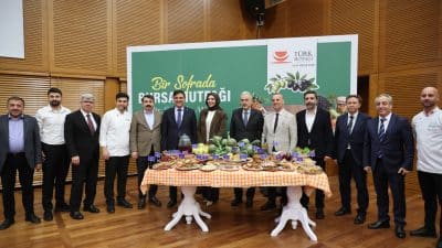 Bursa Valiliği, Bursa Büyükşehir Belediyesi, Bursa Kültür Turizm ve Tanıtma