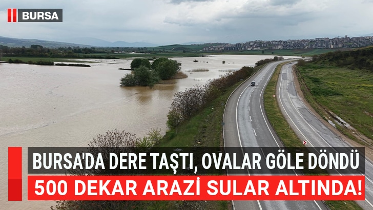 Bursa'nın İnegöl ilçesinde son günlerde