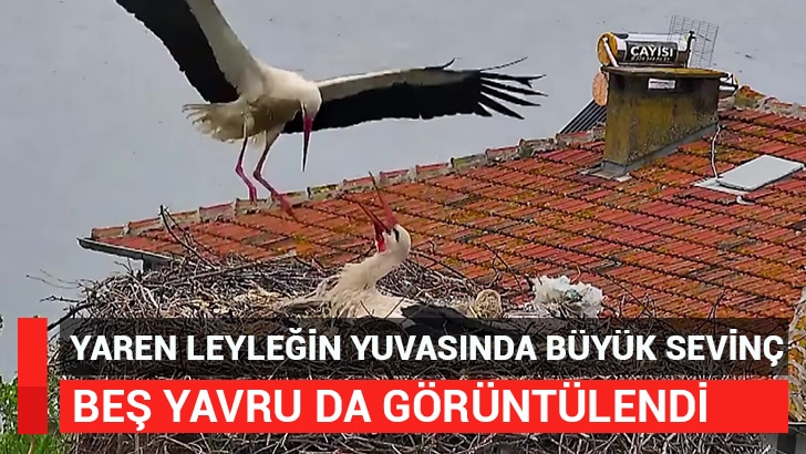Bursa'nın Karacabey ilçesine bağlı Eskikaraağaç
