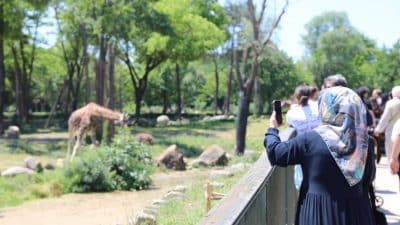 Bursa Büyükşehir Belediyesi Hayvanat Bahçesi, Kurban Bayramı’nda vatandaşların en çok
